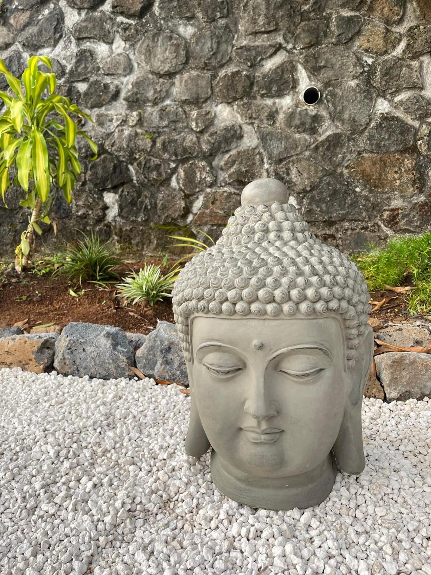 Grande Villa Au Calme - Vue Exceptionnelle - Climatisation - Piscine Sel Chauffee - Jardin Tropical Vincendo 外观 照片