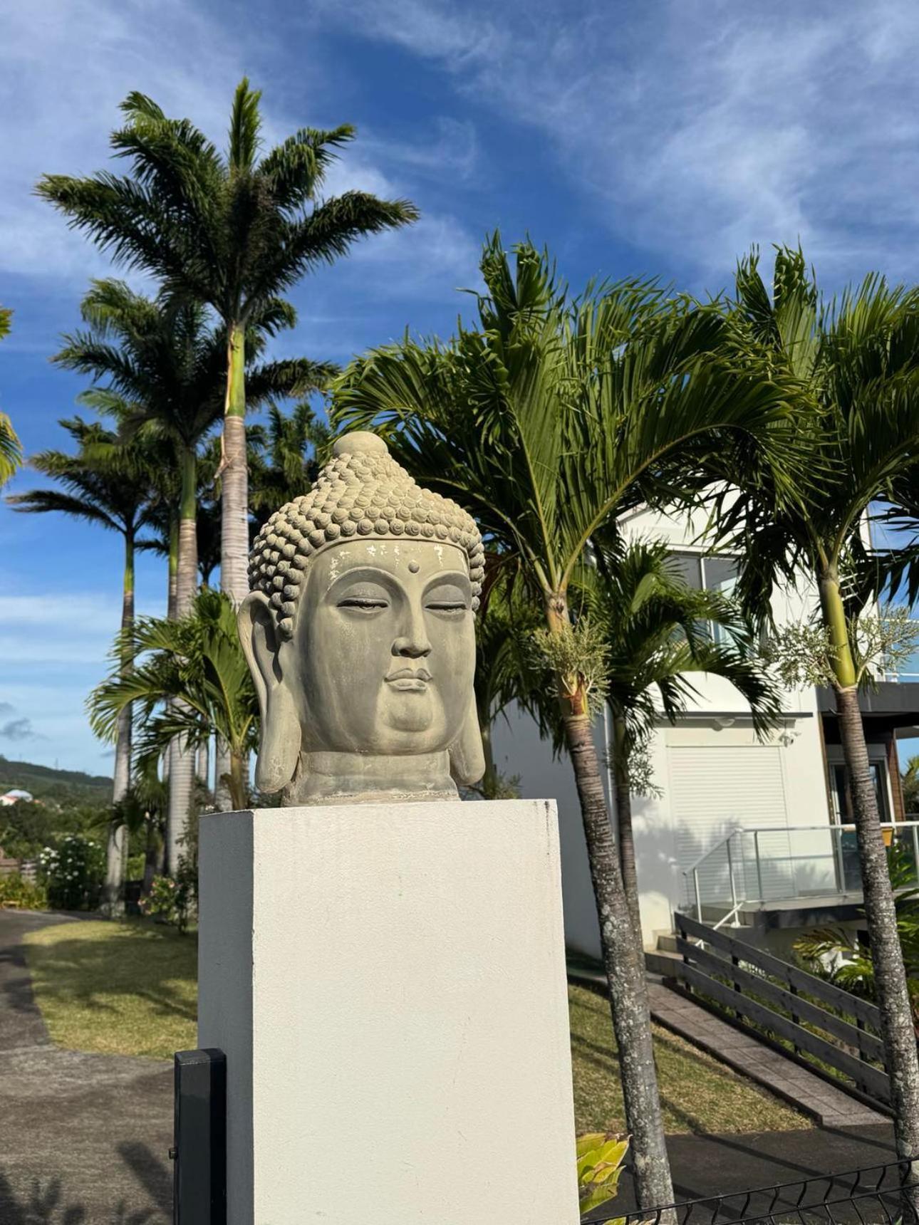 Grande Villa Au Calme - Vue Exceptionnelle - Climatisation - Piscine Sel Chauffee - Jardin Tropical Vincendo 外观 照片
